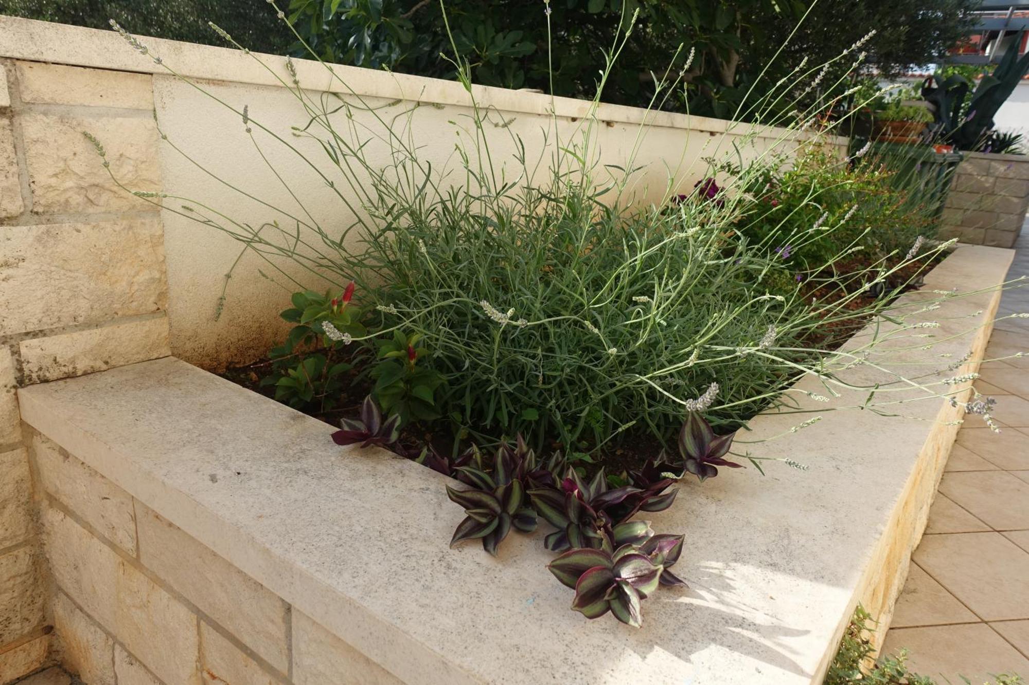 Apartment Tonka فوديس المظهر الخارجي الصورة